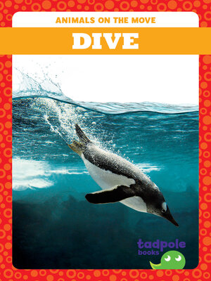cover image of Dive